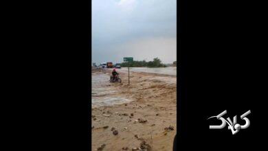 سیل در ایلام؛ ماشین‌ها در جاده گرفتار شدند +ویدیو