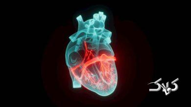 تحقیقات جدید دانشگاه ویرجینیا: این ۲ ویتامین مانع سکته قلبی می‌شود