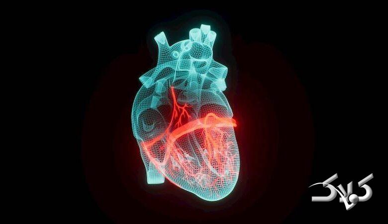 تحقیقات جدید دانشگاه ویرجینیا: این ۲ ویتامین مانع سکته قلبی می‌شود