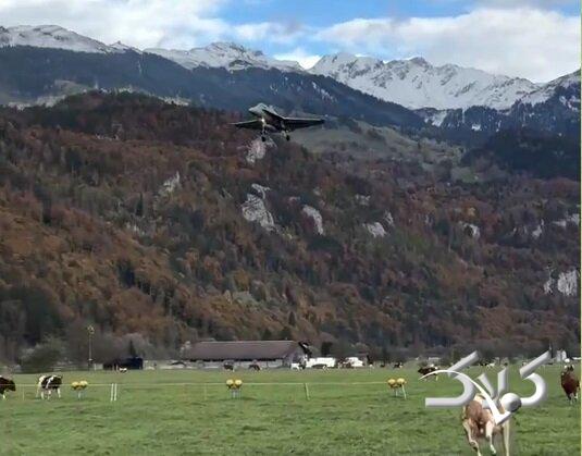 فرود جنگنده اف ۱۸  در گاوداری سوژه شد +ویدیو