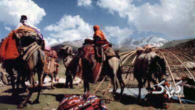 آیین کوچ عشایر ثبت جهانی میشود