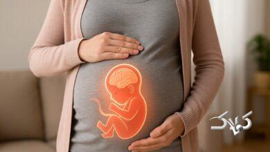 تکامل مغز جنین و اهمیت مدت زمان بارداری