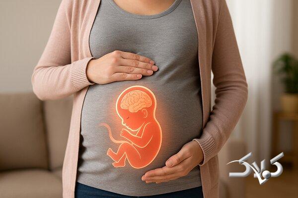 تکامل مغز جنین و اهمیت مدت زمان بارداری