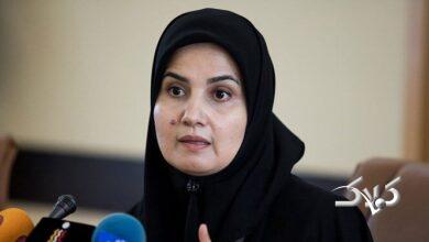 معاون روحانی: اگر این دو لایحه تصویب میشد، بسیاری از مشکلات را نداشتیم