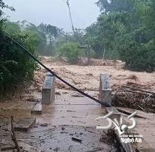 ویدیو| سیلاب مهیب پل معلق ویتنام را در چند ثانیه نابود کرد!