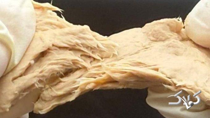 چینی‌ها جهان را غافلگیر کردند: قارچی که می‌توان به جای گوشت خورد!