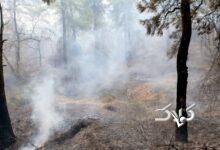 تداوم آتش‌سوزی‌های جنگلی؛ مدعی العموم کجاست؟