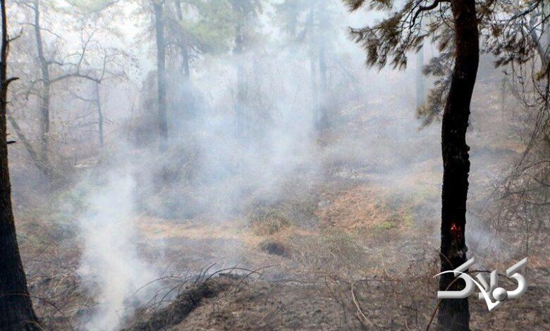 تداوم آتشسوزیهای جنگلی؛ مدعی العموم کجاست؟