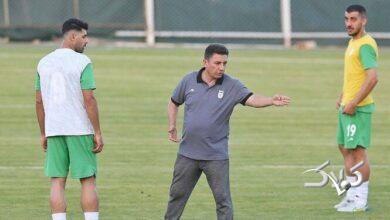 امیر قلعهنویی، سرمربی تیم ملی