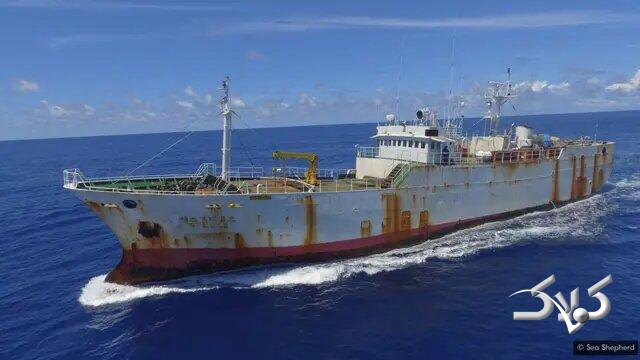 لحظه انفجار کشتی‌های ماهیگیری چین را ببینید!