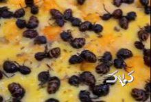 بفرمایید پیتزای مورچه! +ویدیو