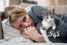 گربه خانگی چه بلایی به سر یک خانواده می‌آورد؟