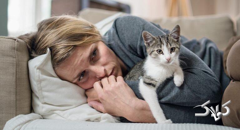 گربه خانگی چه بلایی به سر یک خانواده میآورد؟