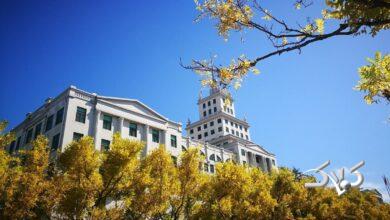 چین دانشجویان دکتری را غافلگیر کرد: پایان‌نامه لازم نیست!