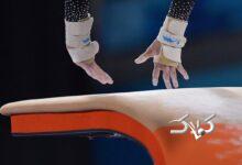فدراسیون ژیمناستیک را پلمب کردند!