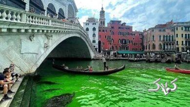 عوامل ریختن رنگ سبز در کانال ونیز اخراج شدند