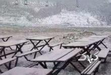 تهران برفی شد +ویدیو