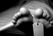 جسد - سردخانه