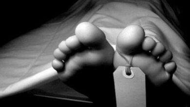 جسد - سردخانه