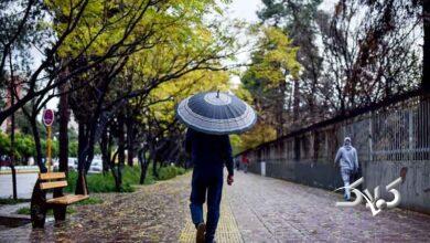 باران ـ بارندگی