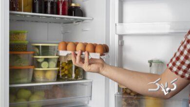 گذاشتن غذا در یخچال - تخم مرغ