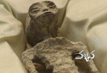 نمایش اجساد فرازمینی‌ها