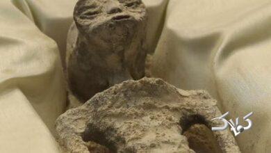 نمایش اجساد فرازمینی‌ها