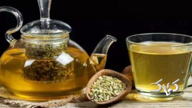 چای رازیانه