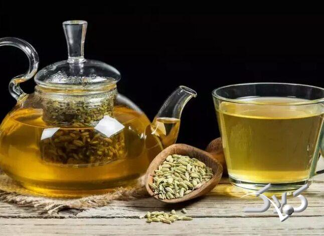 چای رازیانه