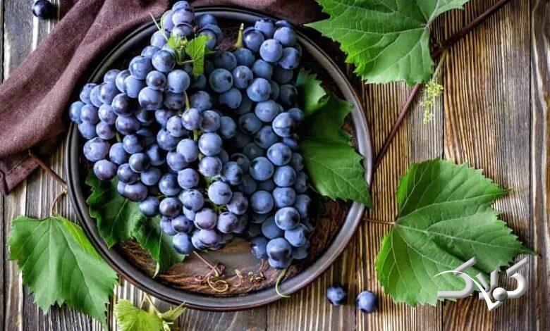 انگور سیاه
