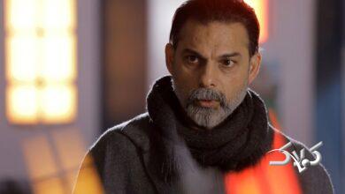 پیمان معادی