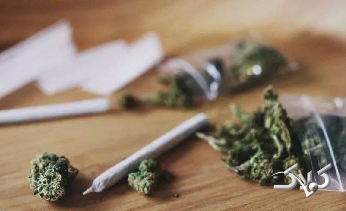 ماده مخدر گل - ماری جوآنا - گرس