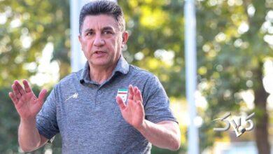 امیر قلعهنویی