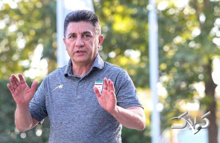 امیر قلعهنویی