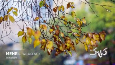 صابری: فعالیت سامانه بارشی در آذربایجان غربی تشدید می شود