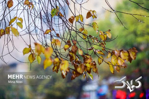 صابری: فعالیت سامانه بارشی در آذربایجان غربی تشدید می شود