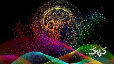 اسرار پنهان  نوروساینس