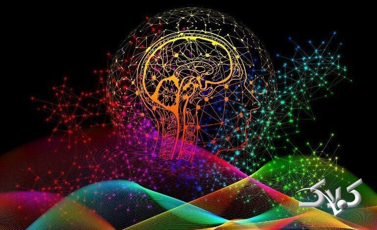 اسرار پنهان  نوروساینس