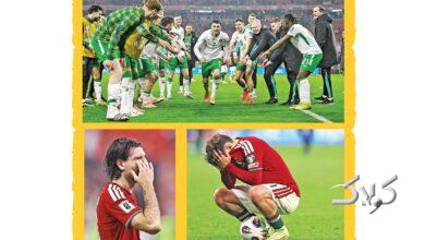 ایرلند - مجارستان