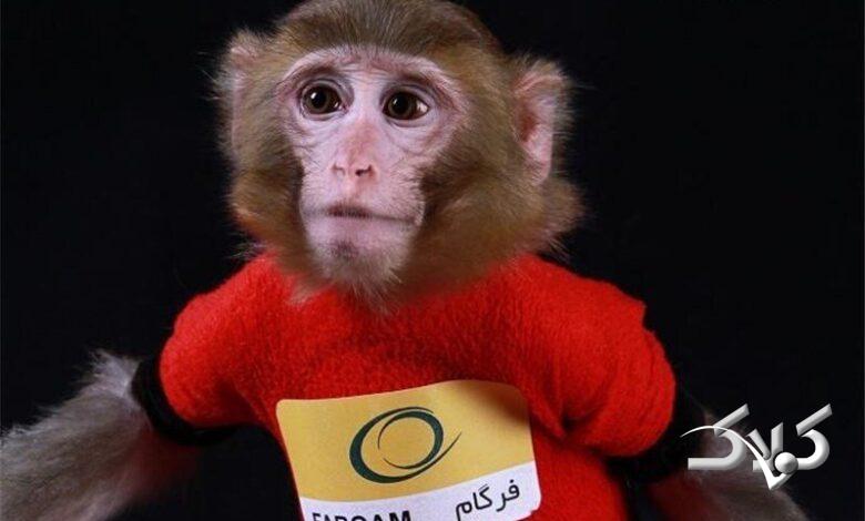 میمون فضانورد ایران کجاست؟