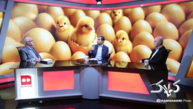 میزگرد اقتصادی با موضوع قیمت تخم مرغ