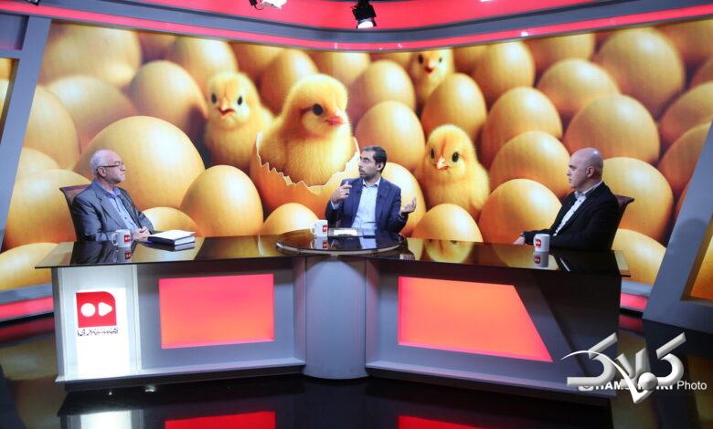 میزگرد اقتصادی با موضوع قیمت تخم مرغ