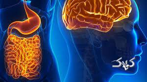 معمای مغز دومی