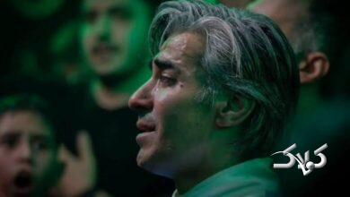 وحید شمسایی