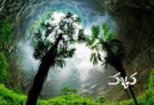 جنگل گمشده در اعماق  زمین؛