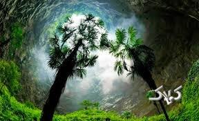 جنگل گمشده در اعماق  زمین؛