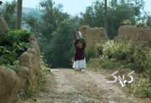 جشنواره فجر