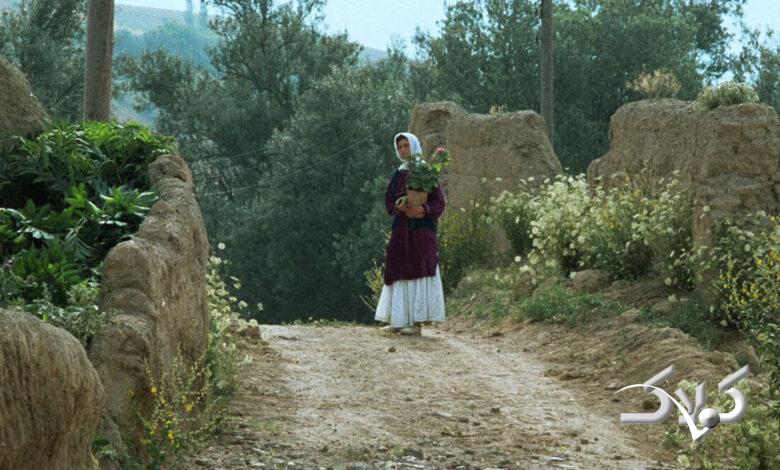 جشنواره فجر