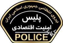 پلیس امنیت اقتصادی