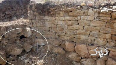 جمجمه جنگجو